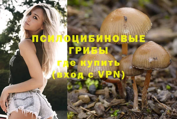 меф Алексин