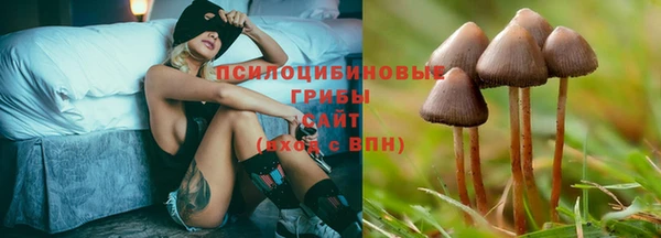 альфа пвп Нефтегорск