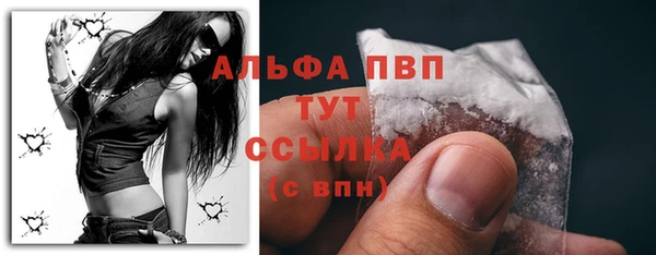 спиды Нефтекумск