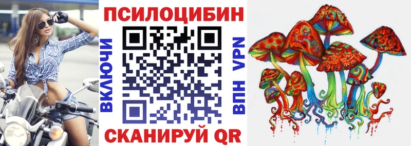 Псилоцибиновые грибы мицелий Советская Гавань