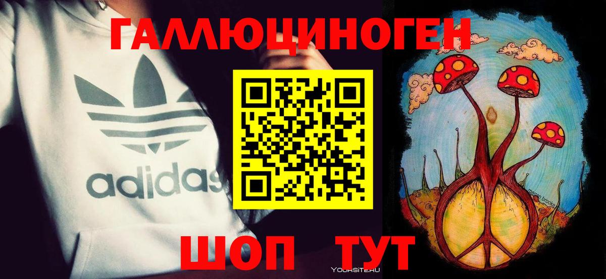 Галлюциногенные грибы прущие грибы Советская Гавань
