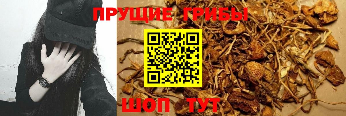 Галлюциногенные грибы MAGIC MUSHROOMS  Вход с VPN  Псилоцибиновые грибы мухоморы  Советская Гавань 